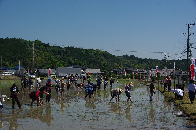 壮大な田植え