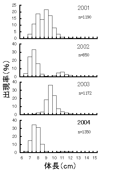 夏眠魚の体長組成