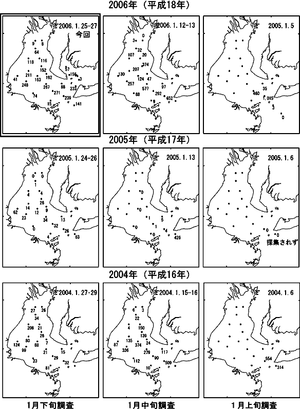 ボンゴネットによるイカナゴ仔魚採集量