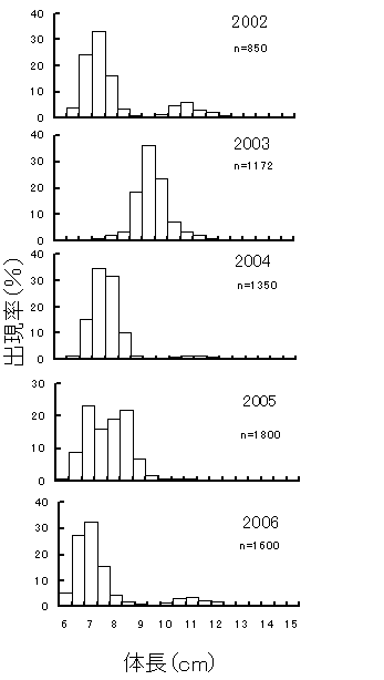 夏眠魚の体長組成