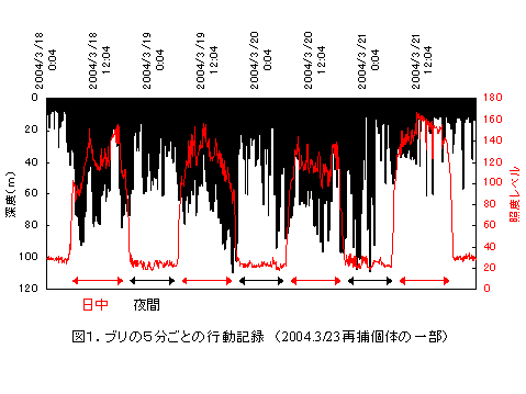 ブリの5分ごとの行動記録