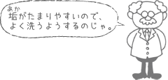 垢がたまりやすいので、よく洗うようするのじゃ。