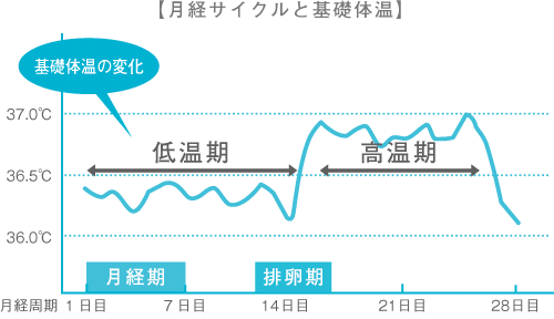 【月経のサイクルと基礎体温】の図