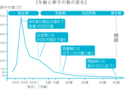 【年齢と卵子の数の変化】の図