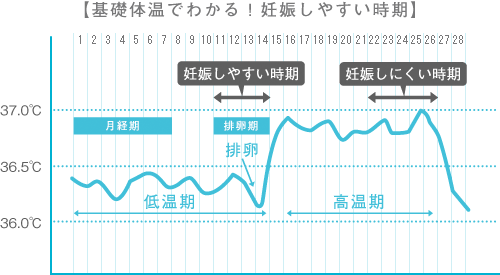 【基礎体温でわかる！妊娠しやすい時期】の図