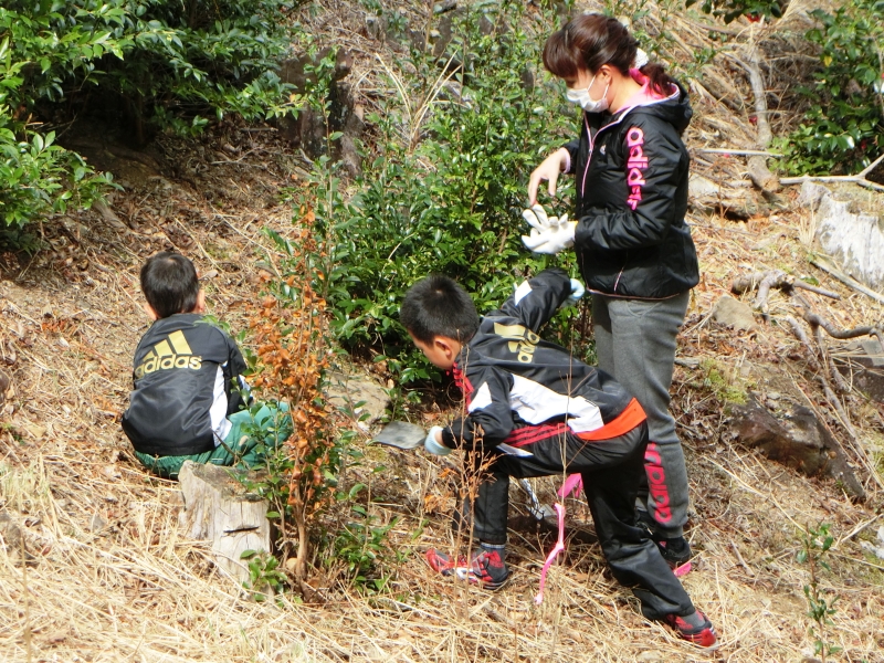 植樹風景1