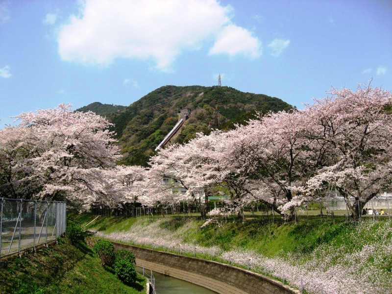 始神さくら広場