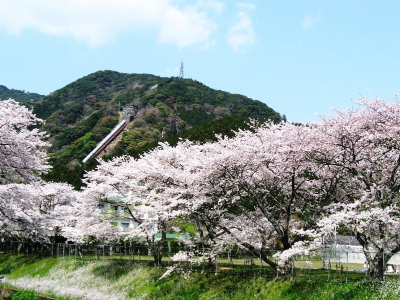 始神さくら広場2