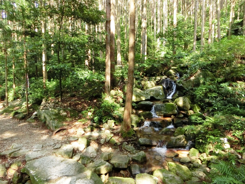 木漏れ日の熊野古道