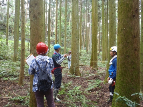 調査地内の木の本数路数えている様子