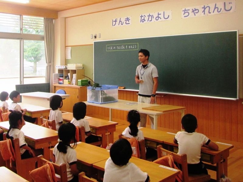 尾鷲ヒノキの特徴