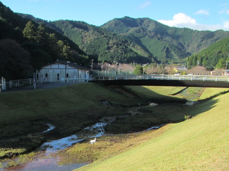 大白公園風景