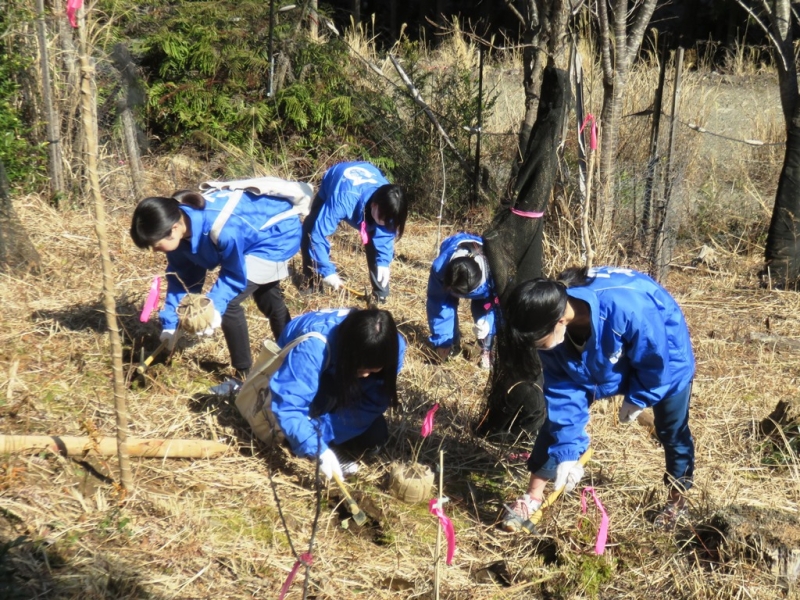 植樹会場