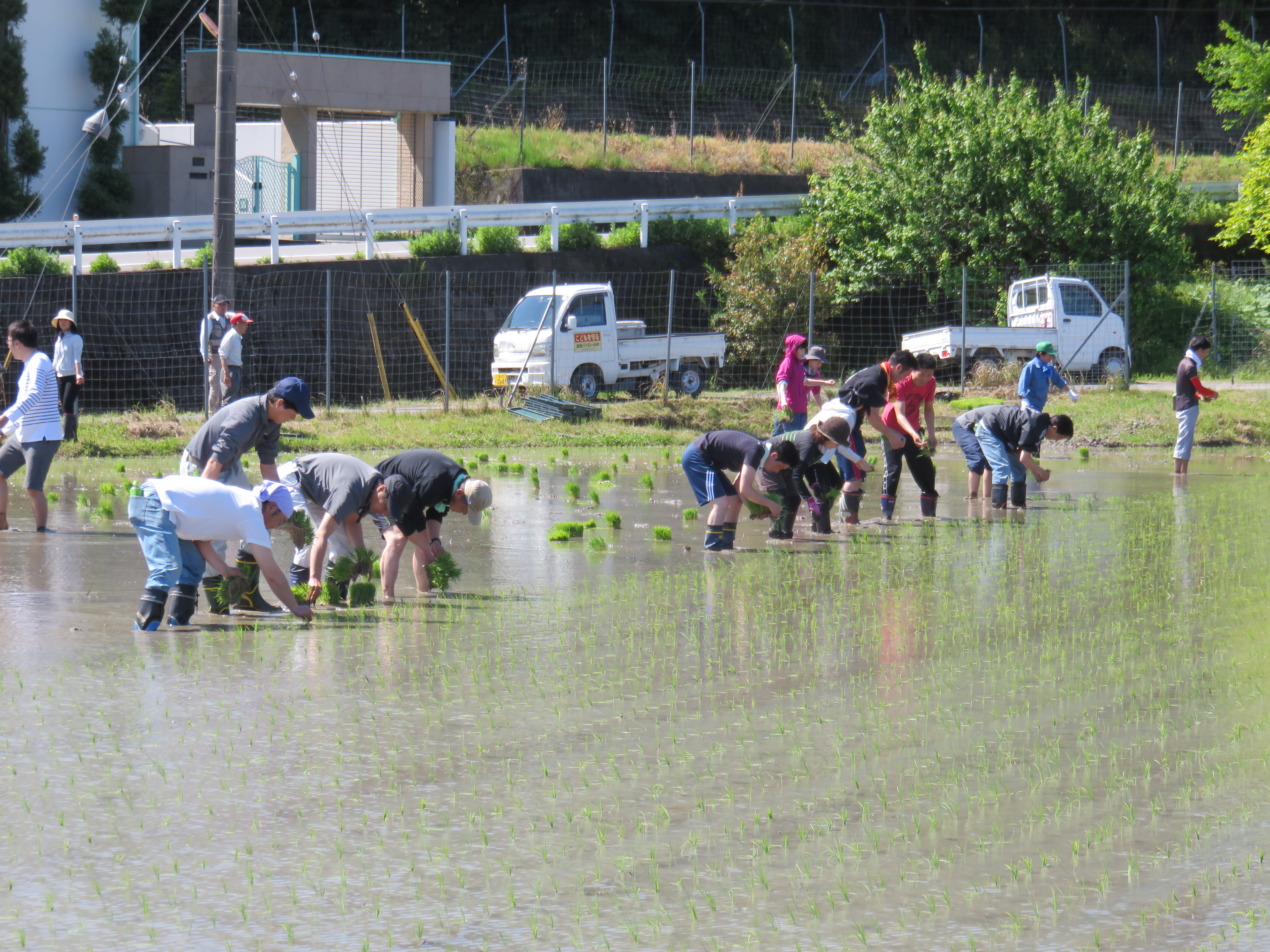 田植え１