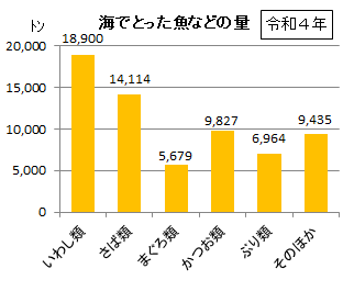 海でとった魚などの量