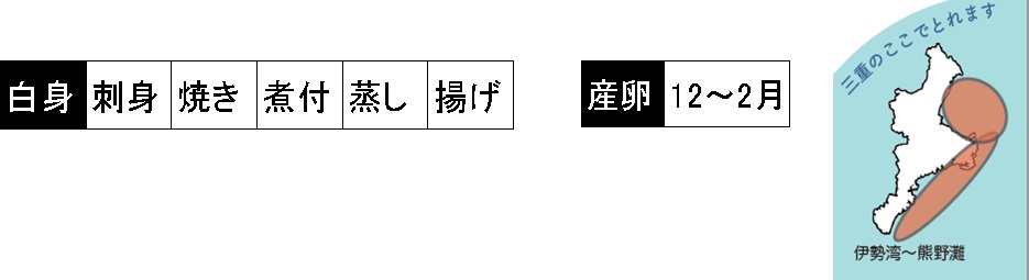 スズキの調理法、産卵期、漁獲される場所などのデータ