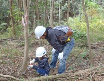 手鋸を使って木を伐り倒そうとしている様子