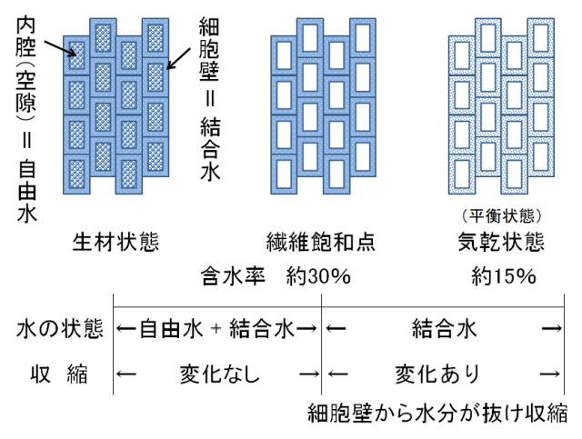 図3　画像