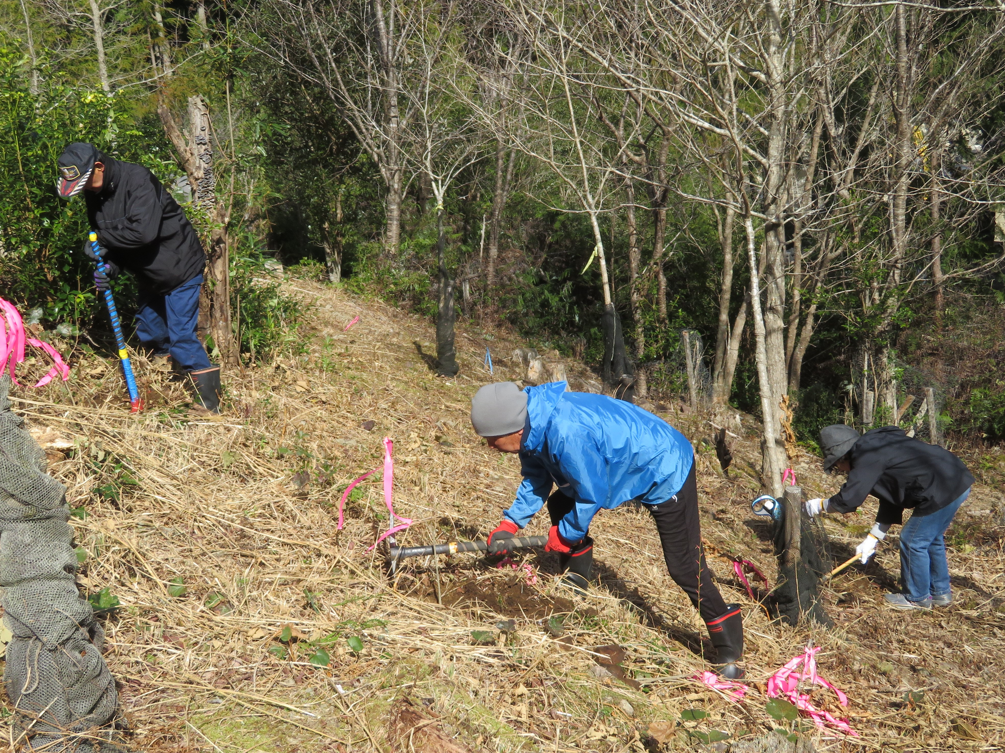 第26回下河内山林植樹活動4