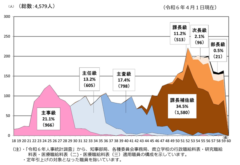 年齢・職級別職員構成