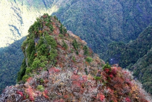 大台ケ原