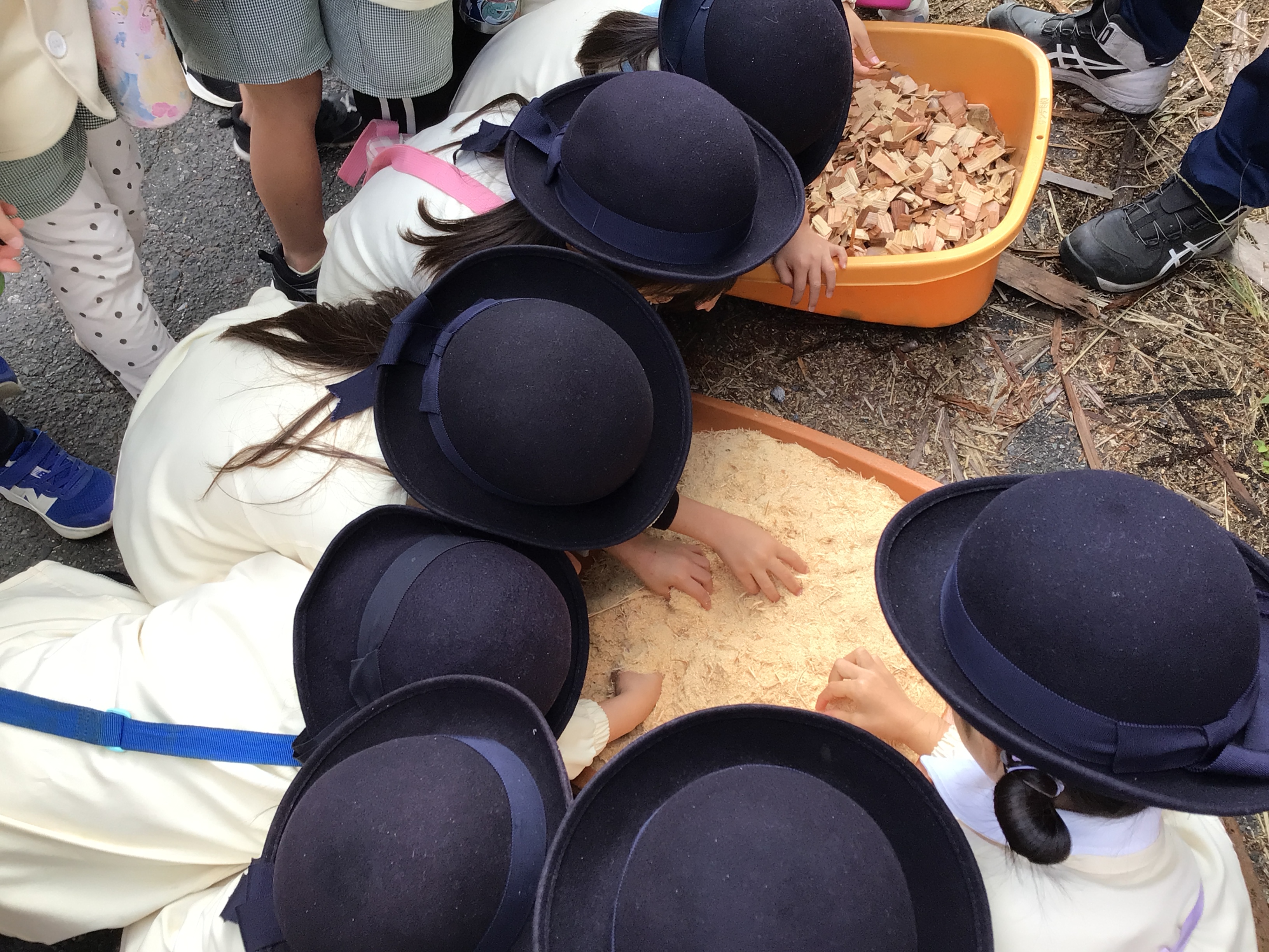 1グループに複数の画像を表示3