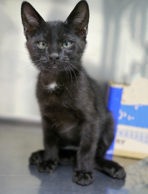 左寄せパターン