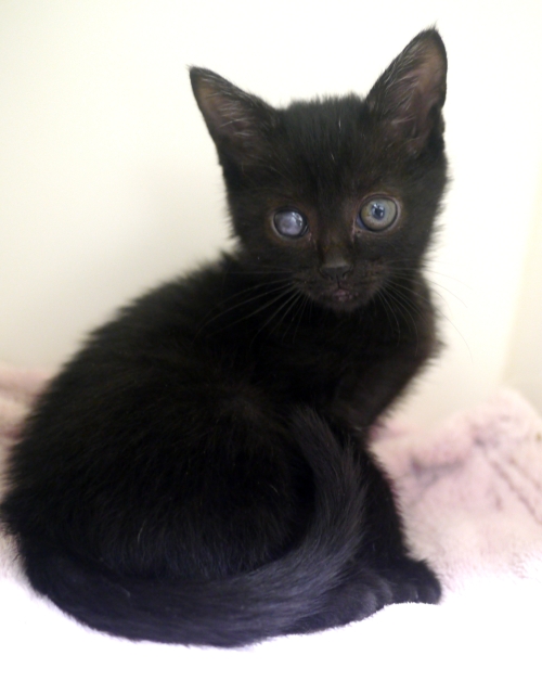 左寄せパターン