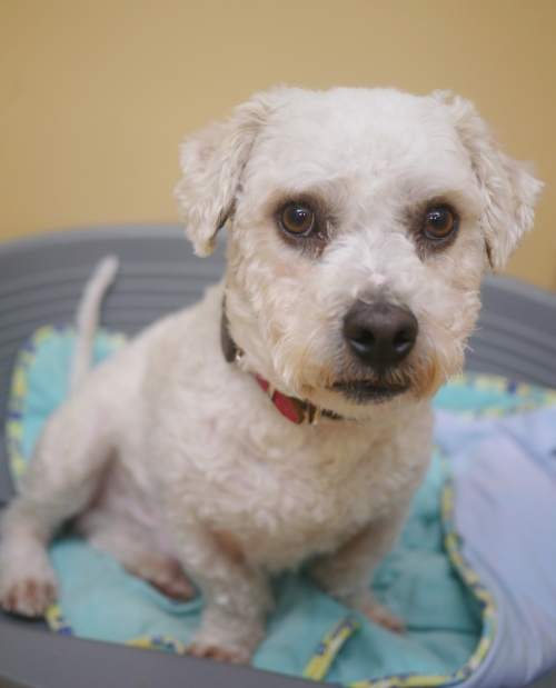 左寄せパターン