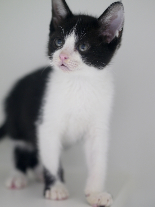 左寄せパターン