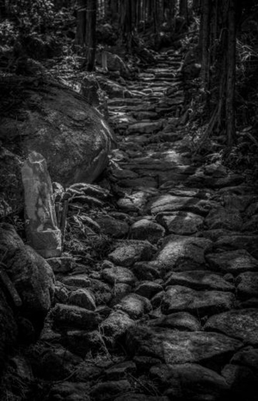 熊野古道センター開館２０周年記念企画展 『写真家　森武史写真展ーisejiー』